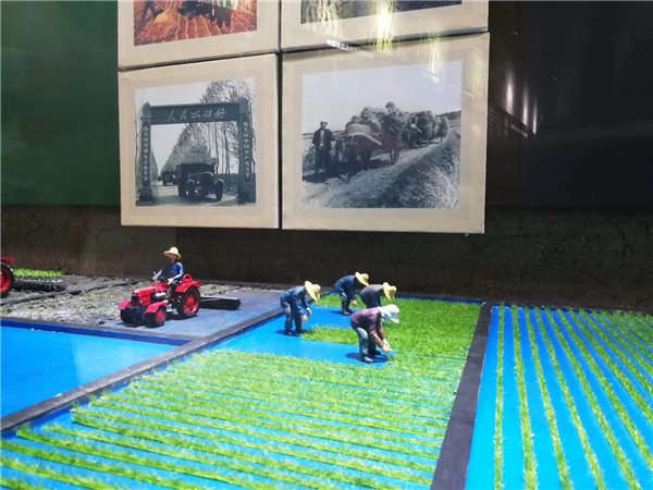 �峣�����^΢�;��^���� (12)