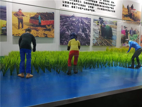 �峣�����^΢�;��^���� (5)