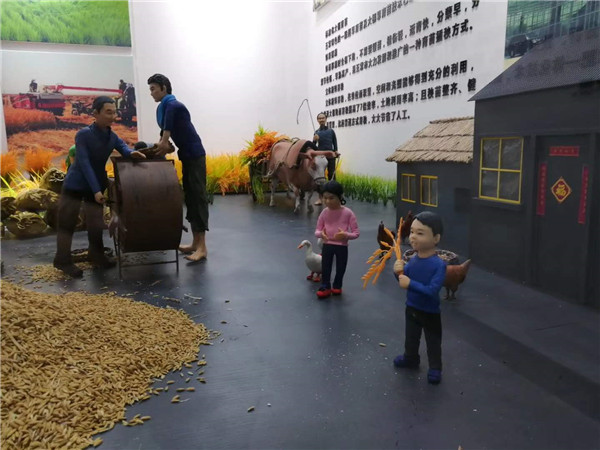 �峣�����^΢�;��^���� (4)